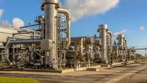 © creativenature.nl / Adobe Stock