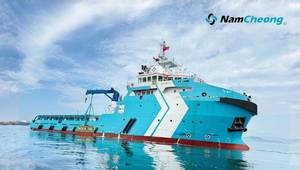 (Credit: Nam Cheong)