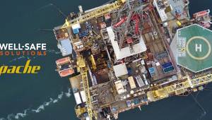 (Credit: Well-Safe Solutions)