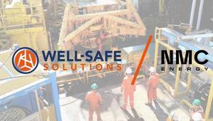 (Credit: Well-Safe Solutions)
