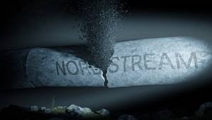 © guteksk7 / Adobe Stock