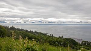 © htrnr / Adobe Stock