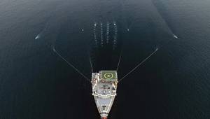 Illustration (Credit: TGS)