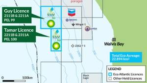 
Map of PEL97, PEL99, PEL100 in Walvis Basin, Offshore Namibia (Credit: Eco (Atlantic) Oil and Gas)