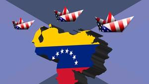 © RomanWhale studio / Adobe Stock