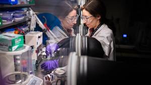 Sandia National Laboratories electrochemist Aliya Lapp prepares a sample of upcycled lithium battery cathode for testing. (Photo by Craig Fritz)