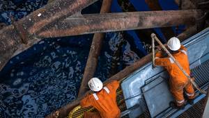 © snapin / Adobe Stock