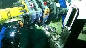 Source: DeepOcean