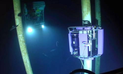 TSC Subsea to Conduct Subsea Inspections Offshore Brazil