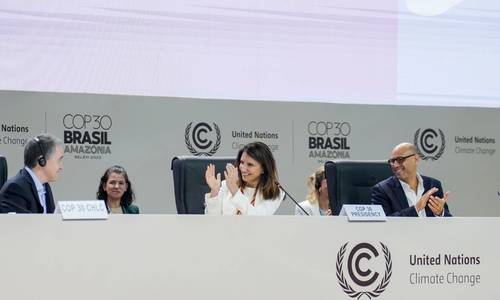 COP30’s Weak Deal Unlikely to Shift Renewables - Fossil Fuel Battle