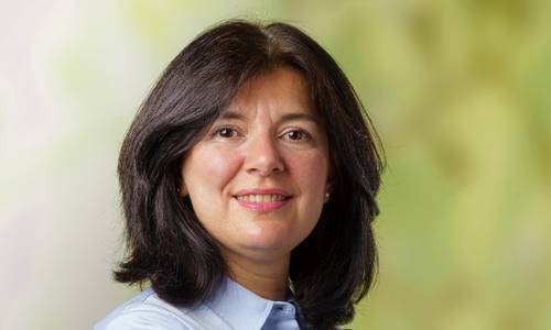 FairWind Names Regional Chief for Northern Central Europe