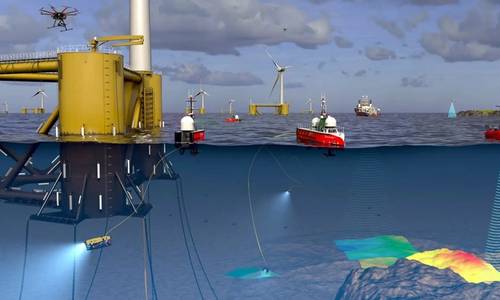 Fugro-Led BeWild Completes First Fully Remote Ecology Survey at OW Farm