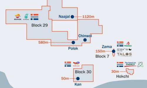 Grupo Carso to Buy TotalEnergies' Stake in Mexico Offshore Block