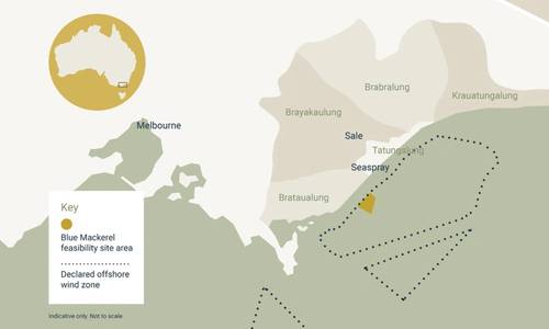 First Offshore Wind Management Plan Approved for Parkwind’s Blue Mackerel