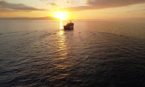 Eni Enlists Shearwater for 3D Seismic Survey in Timor Sea