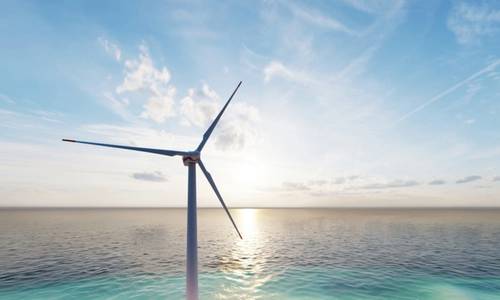 New Joint Industry Project Sets Sights of Nature Friendly Offshore Wind Farms