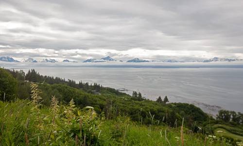 Oil companies reject Trump Administration's Alaska Offshore Auction