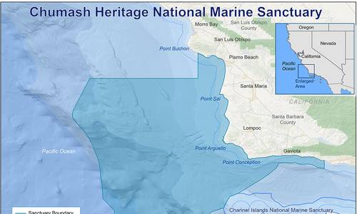 US Creates New Marine Sanctuary Along California Coast