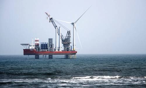 European Consortium Targets Marine Noise from Offshore Wind Projects