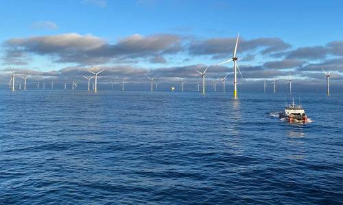 RWE to Employ Innovative Ecosystem Monitoring Tech at Kaskasi Offshore Wind Farm