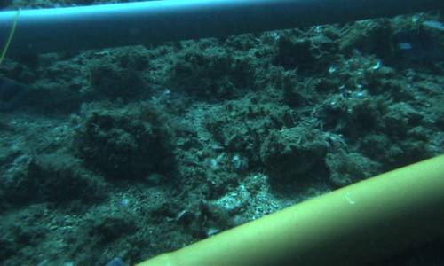 LR: Subsea Pipeline Design Choices Determine Integrity