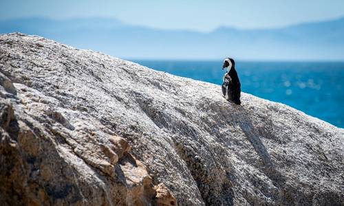 South Africa Blocks Shell's Wild Coast Exploration Plans