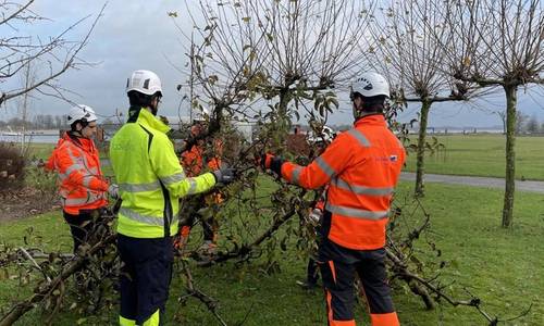 Van Oord, Ecowende to Enhance Biodiversity Hollandse Kust West Wind Farm