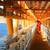 Norway Offshore Workers, Emplo