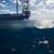 Sonardyne, AMOG Join Forces on