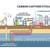 The Business of Offshore CO₂ S