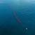 Oil Spill, Weak Science: Fifth