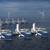 IWS Places $300M Order for Fou