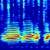 Fugro to Monitor Marine Mammal