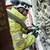INEOS Engages Semco Maritime f