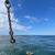 Seiche Leads Pilot Study to As