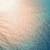 Venture Global, EnBW Ink New L