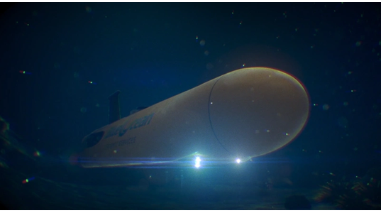 Credit: Blue Ocean Seismic Services - Screenshot