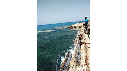 Credit; Eco Wave Power