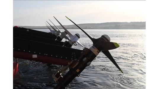 Credit: Sustainable Marine