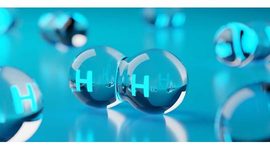 Credti: Shawn Hempel/AdobeStock
