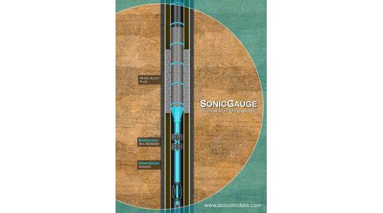 Image: Acoustic Data