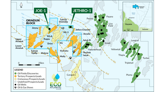 (Image: Eco Atlantic)