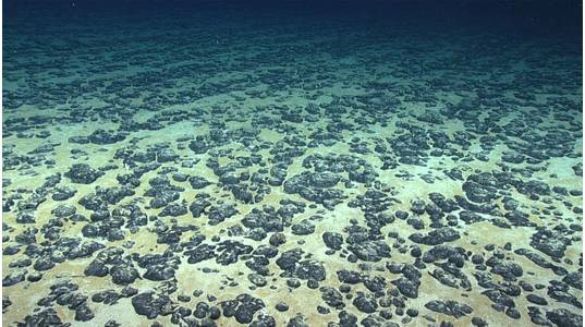 Image courtesy of the NOAA Office of Ocean Exploration and Research, 2019 Southeastern U.S. Deep-sea Exploration