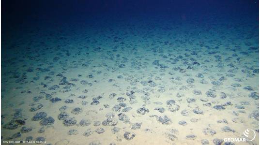 The manganese nodule-covered plains of the central Pacific Photo: ROV team, GEOMAR (CC BY 4.0)