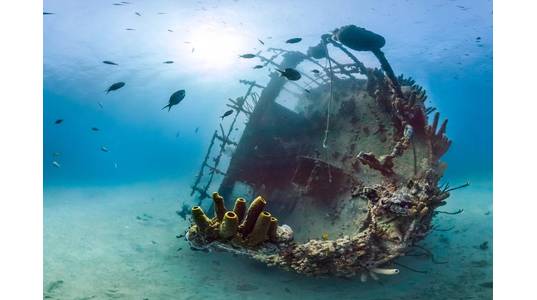 © The Ocean Agency / Adobe Stock