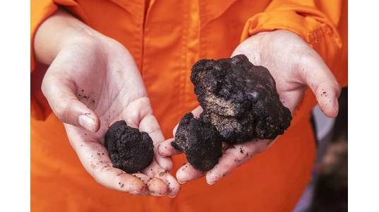 (Photo: Loke Marine Minerals)