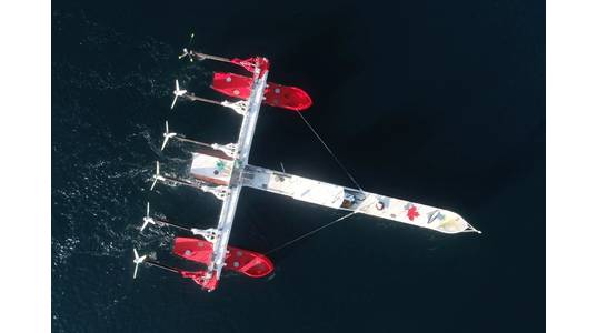 Photo by Sustainable Marine