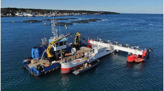 (Photo: Sustainable Marine)