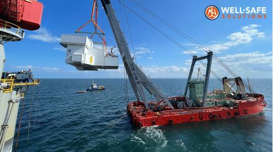 ©Well-Safe Solutions