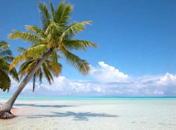 The Bahamas - Image by foxytoul  - AdobeStock 